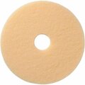 Global Industrial 17in Carpet Pad, Beige, 5PK 261881BC